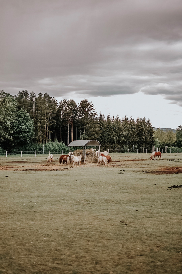 Muttertags Wochenende im Reiters Reserve